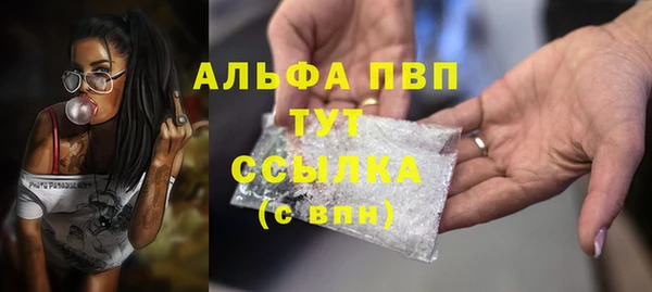 сатива Баксан