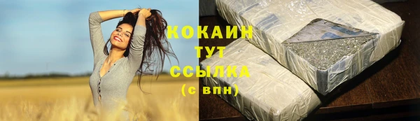 PSILOCYBIN Армянск