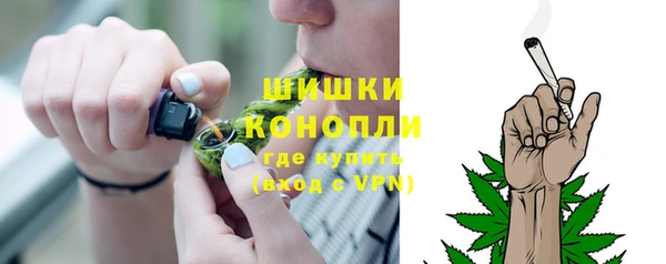 сатива Баксан