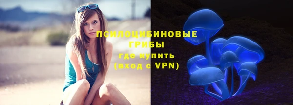 сатива Баксан