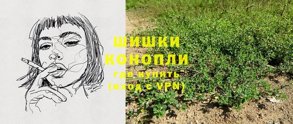 PSILOCYBIN Аркадак