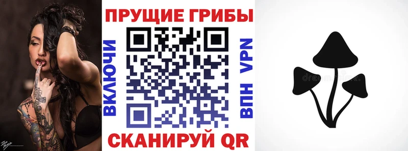 Галлюциногенные грибы ЛСД Купить где Поронайск